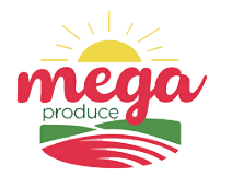 Mega