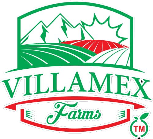 Villamex
